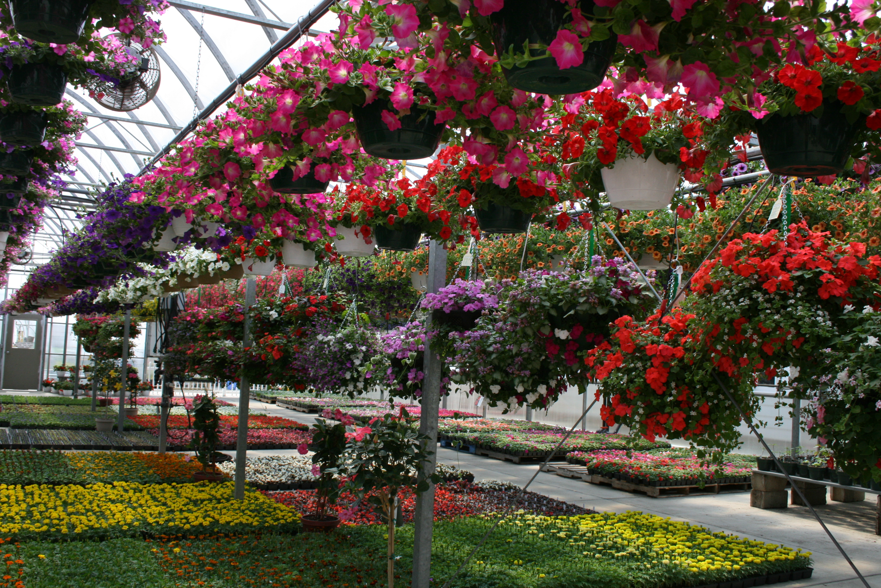 greenhouse.jpg